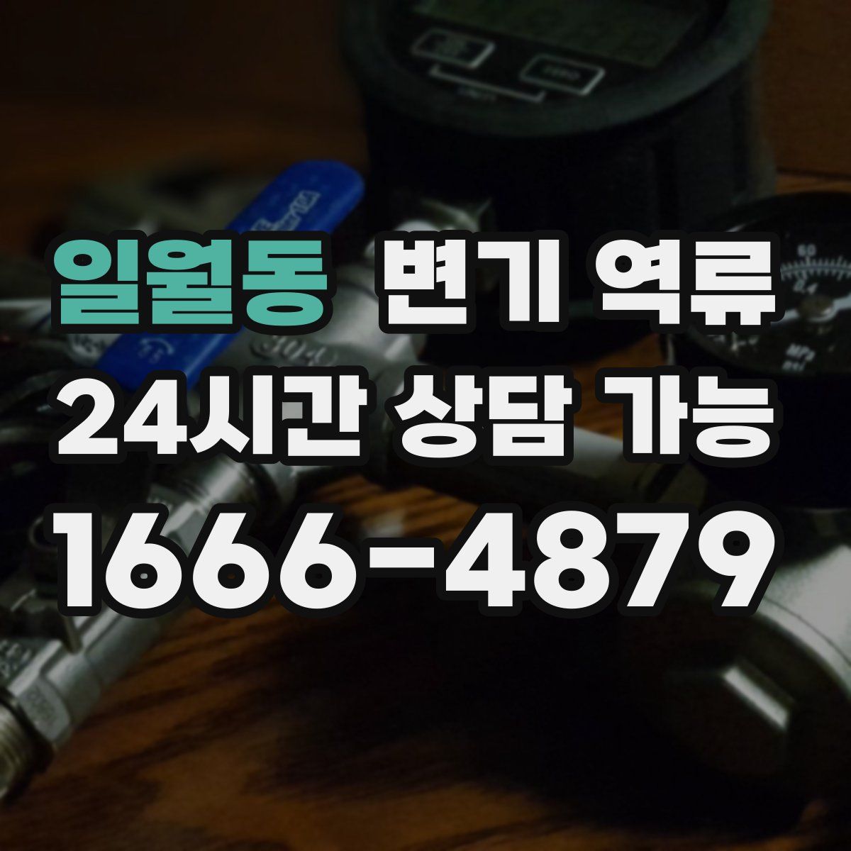 일월동 변기 역류