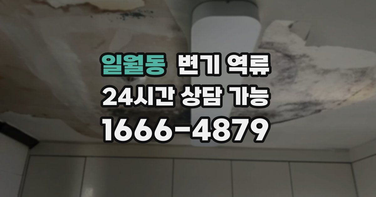 일월동 변기 역류