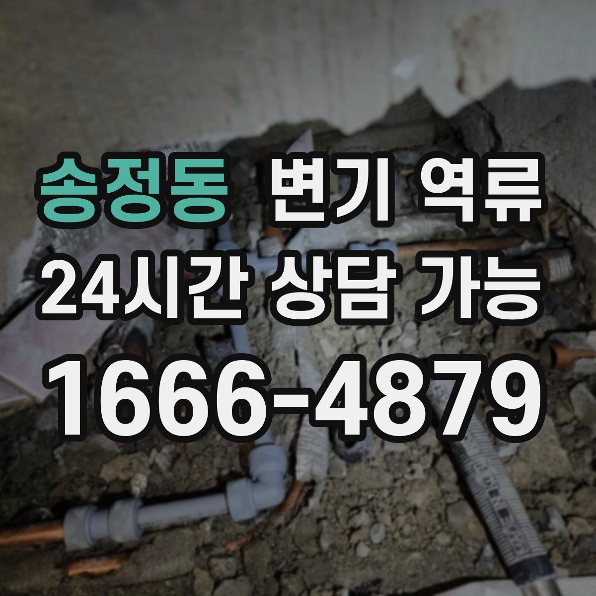 송정동 변기 역류