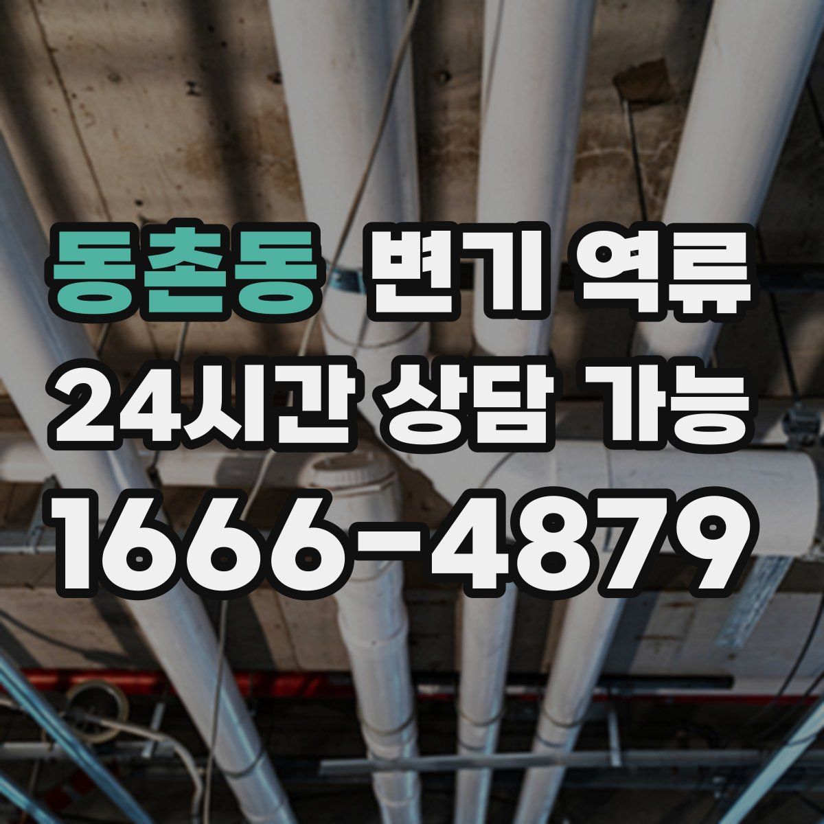 동촌동 변기 역류