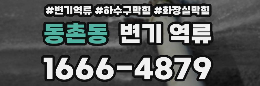 동촌동 변기 역류