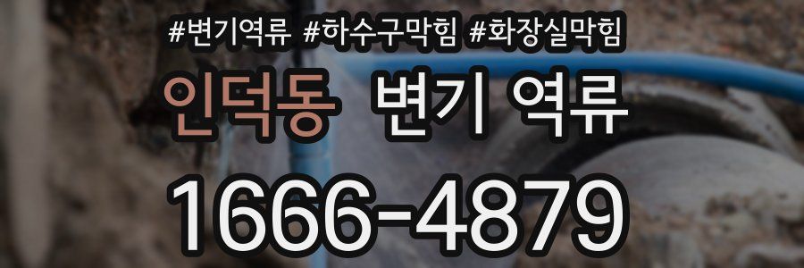 인덕동 변기 역류