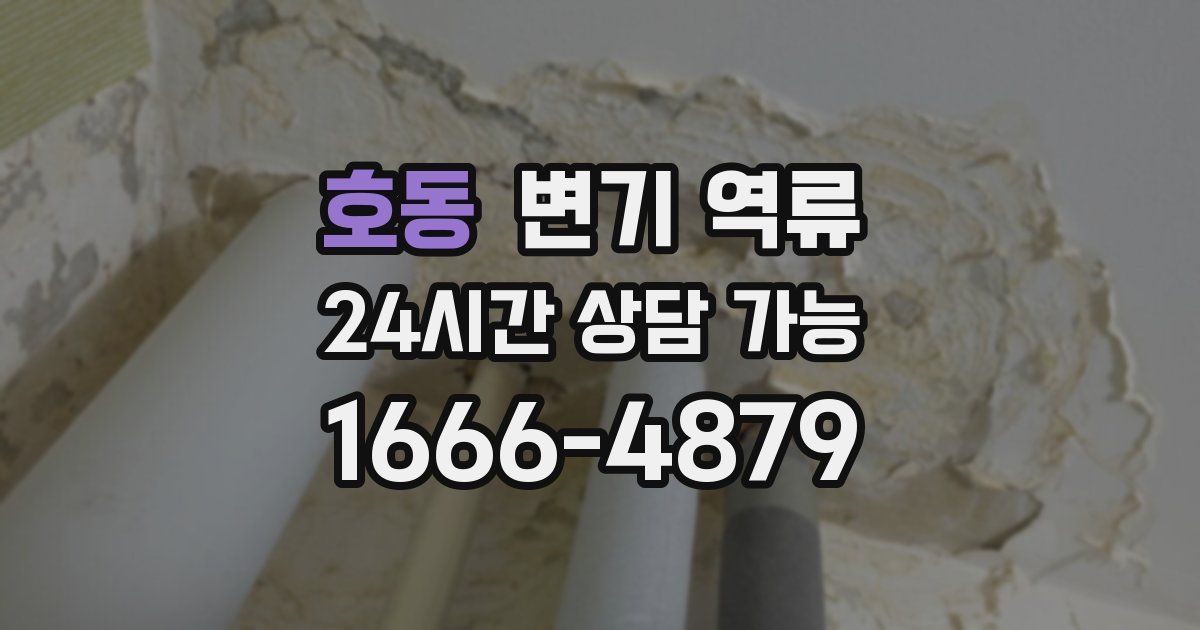 호동 변기 역류