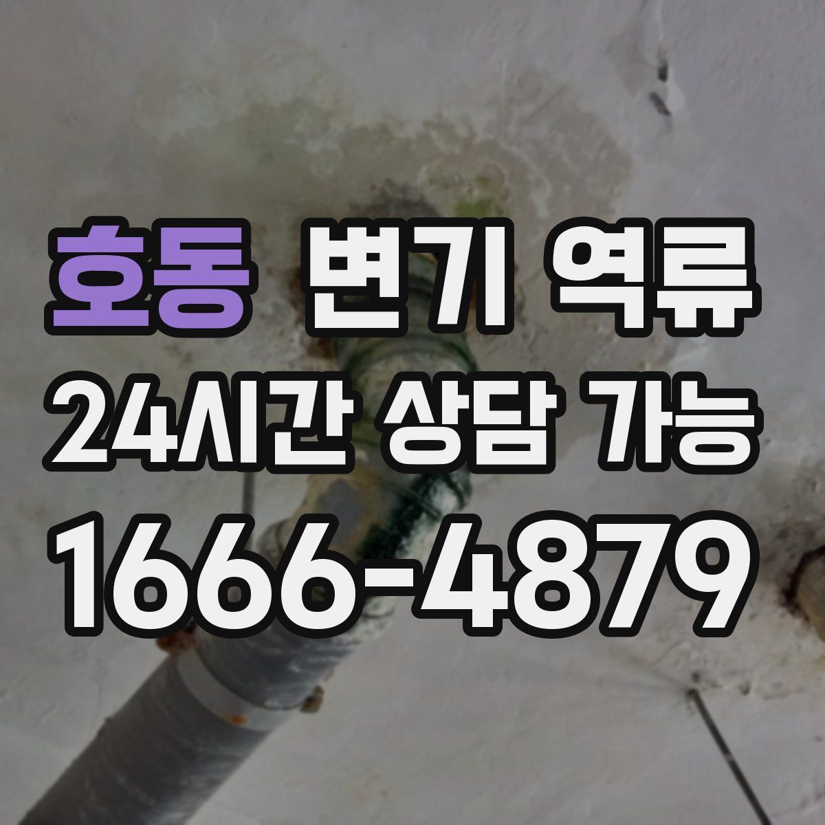 호동 변기 역류