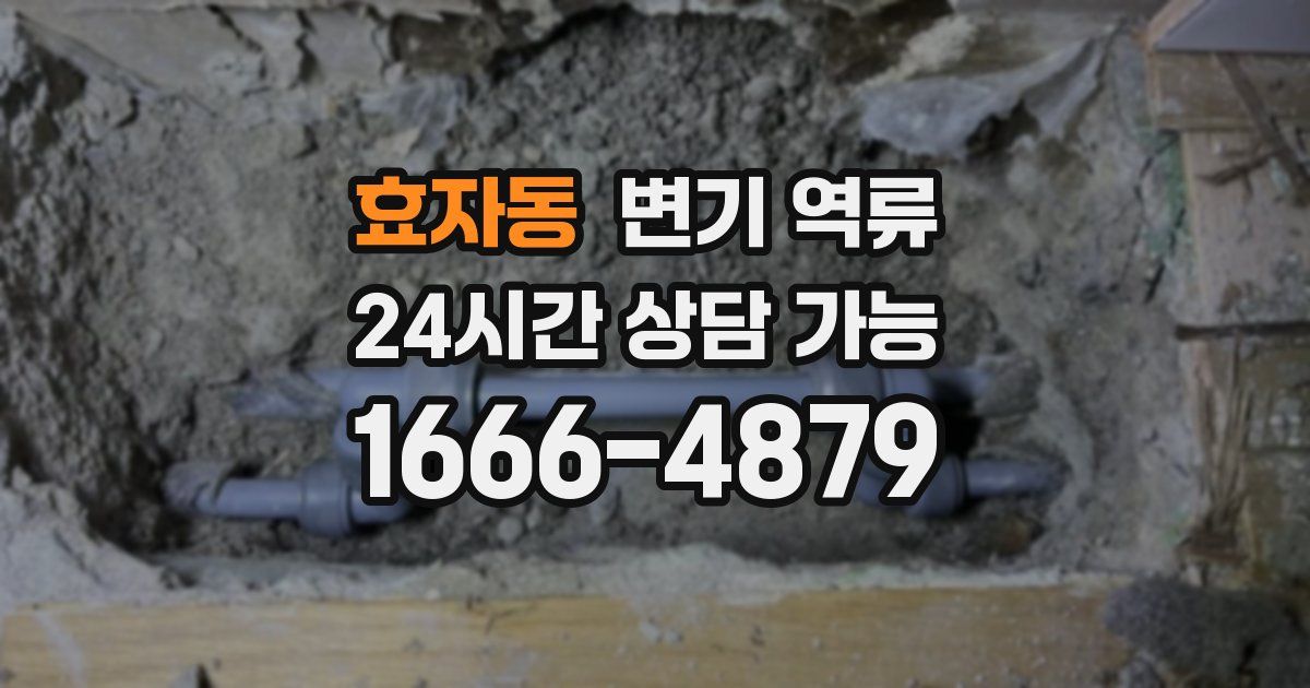 효자동 변기 역류