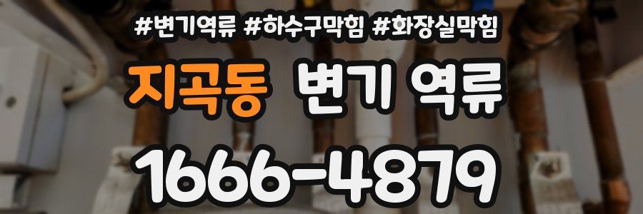 지곡동 변기 역류