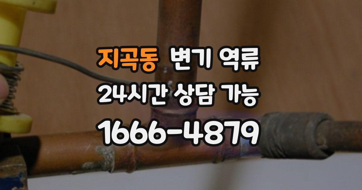 지곡동 변기 역류