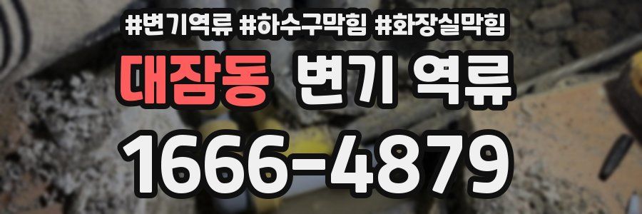 대잠동 변기 역류