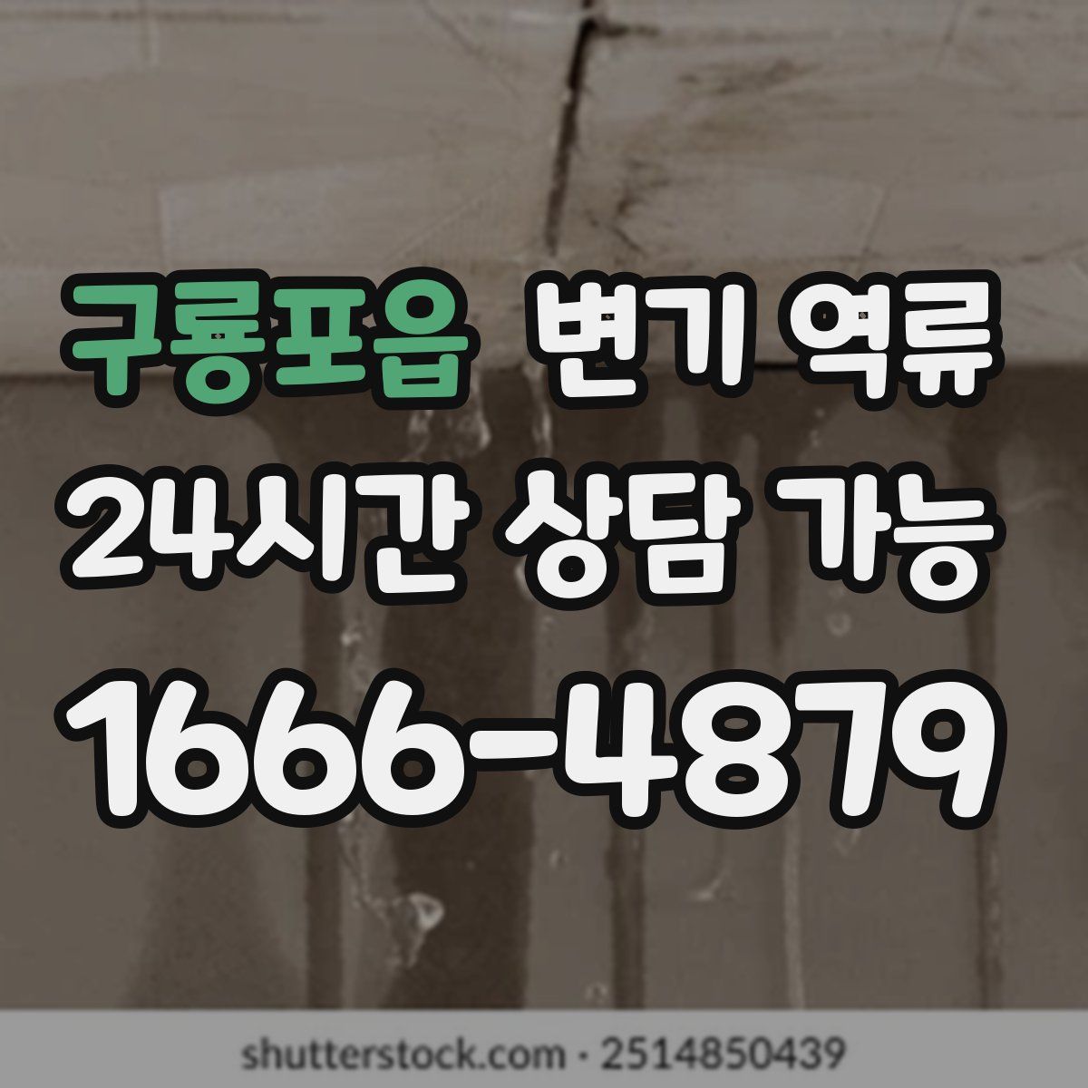 구룡포읍 변기 역류