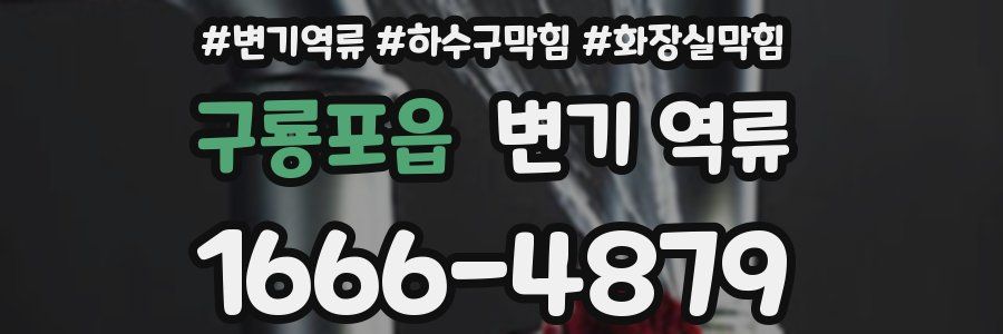 구룡포읍 변기 역류