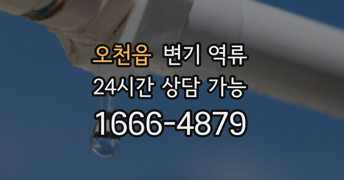 오천읍 변기 역류