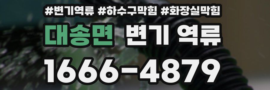 대송면 변기 역류