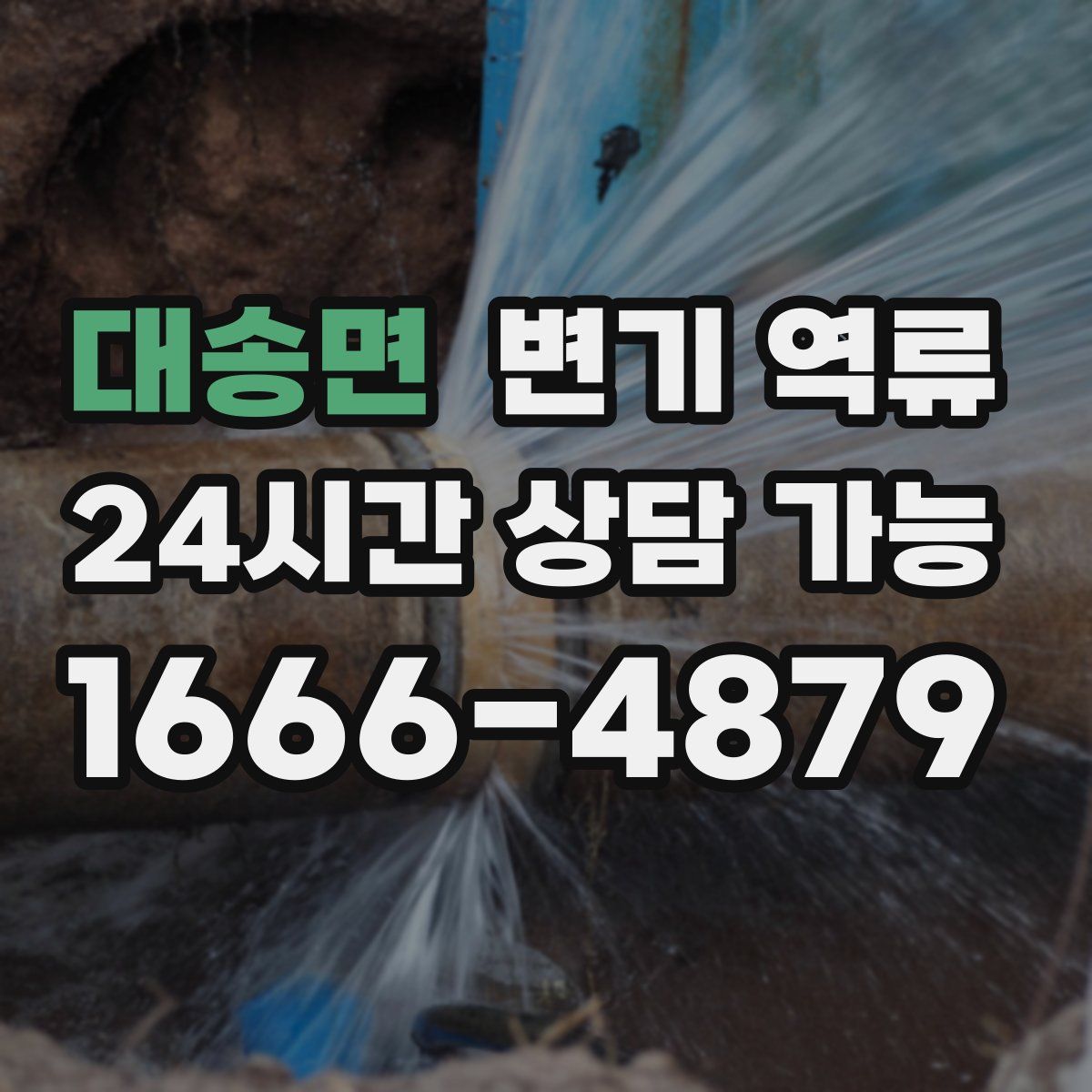 대송면 변기 역류