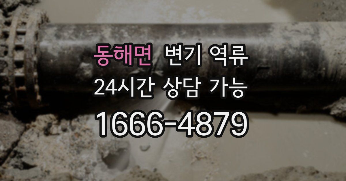 동해면 변기 역류