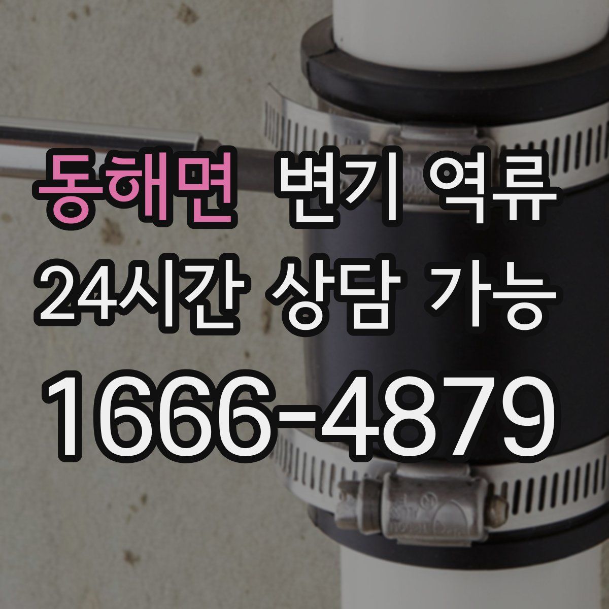 동해면 변기 역류