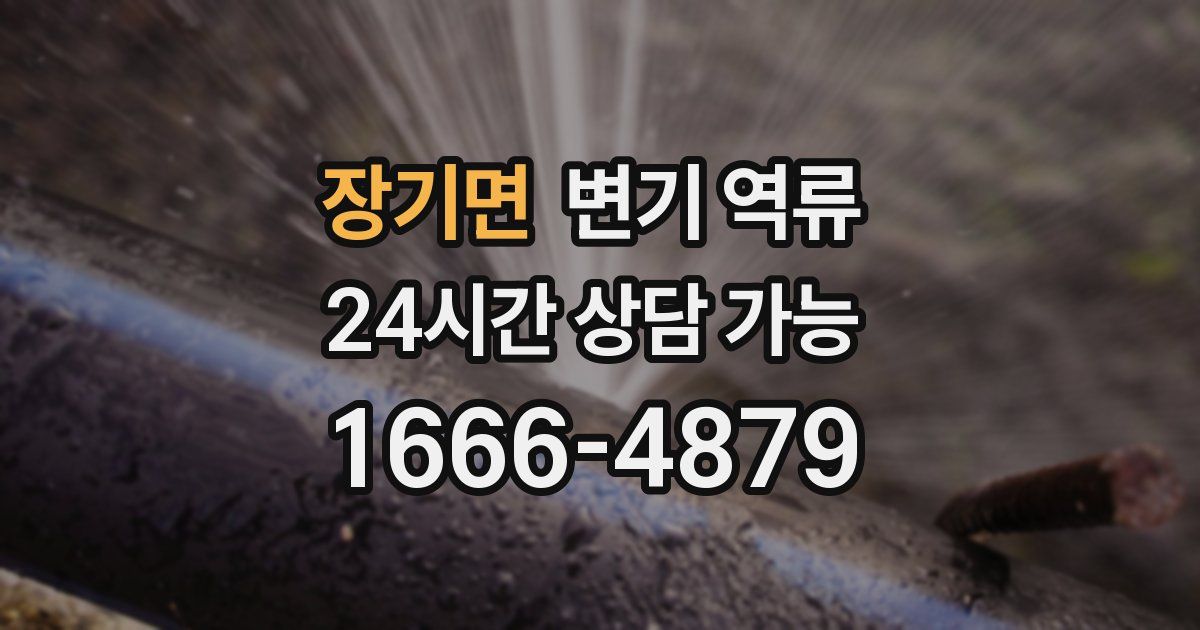 장기면 변기 역류