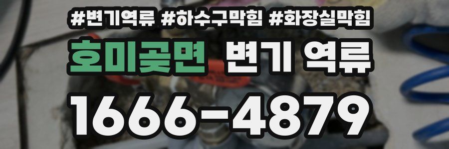 호미곶면 변기 역류