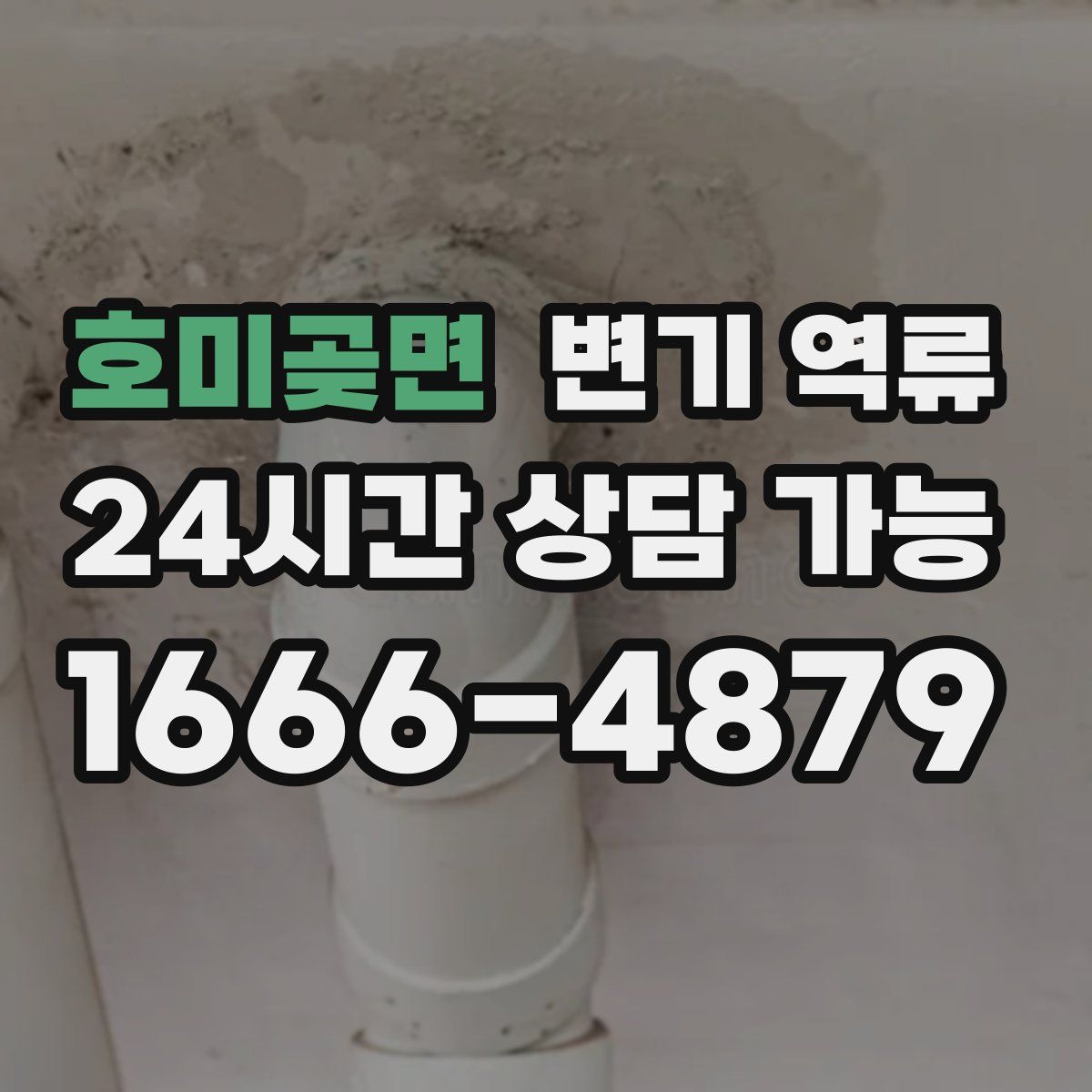 호미곶면 변기 역류