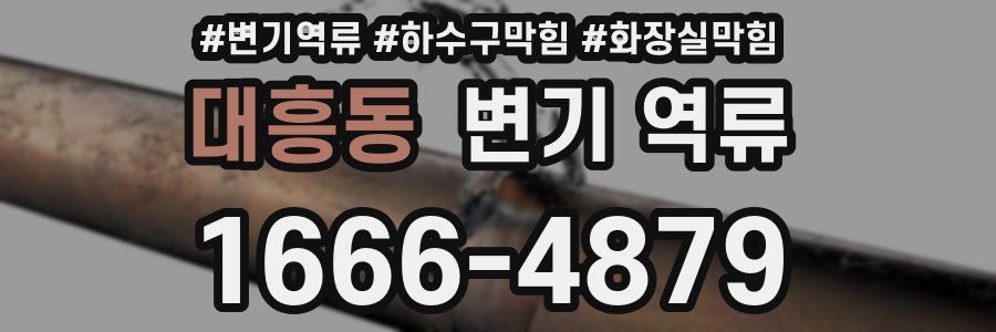 대흥동 변기 역류