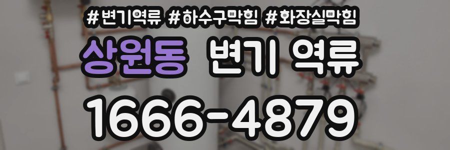 상원동 변기 역류