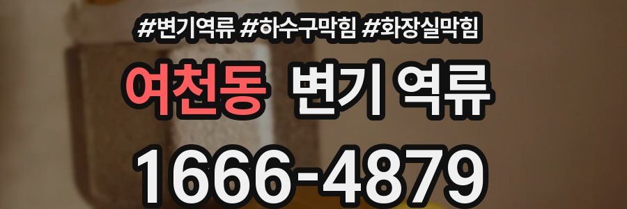 여천동 변기 역류