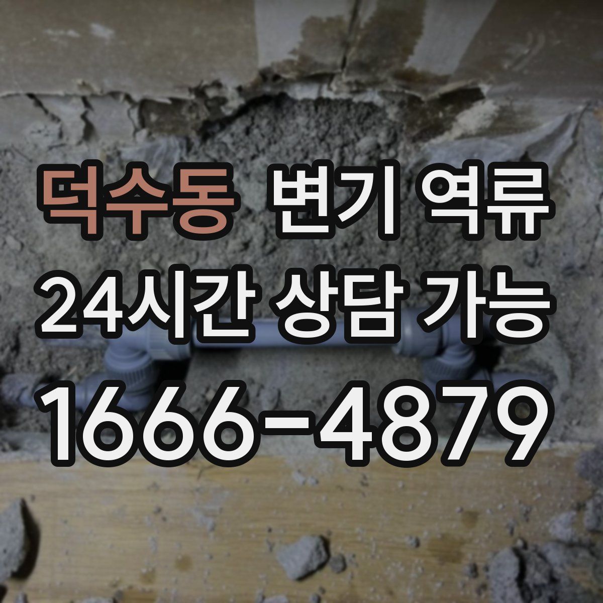 덕수동 변기 역류