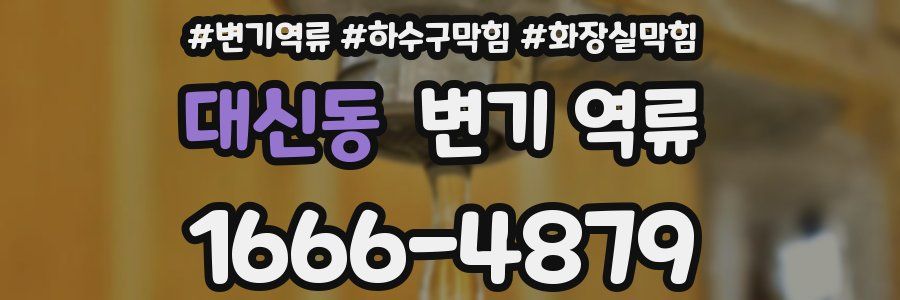 대신동 변기 역류