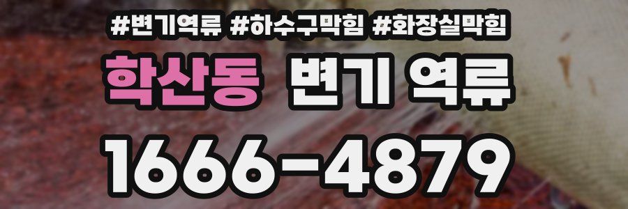 학산동 변기 역류