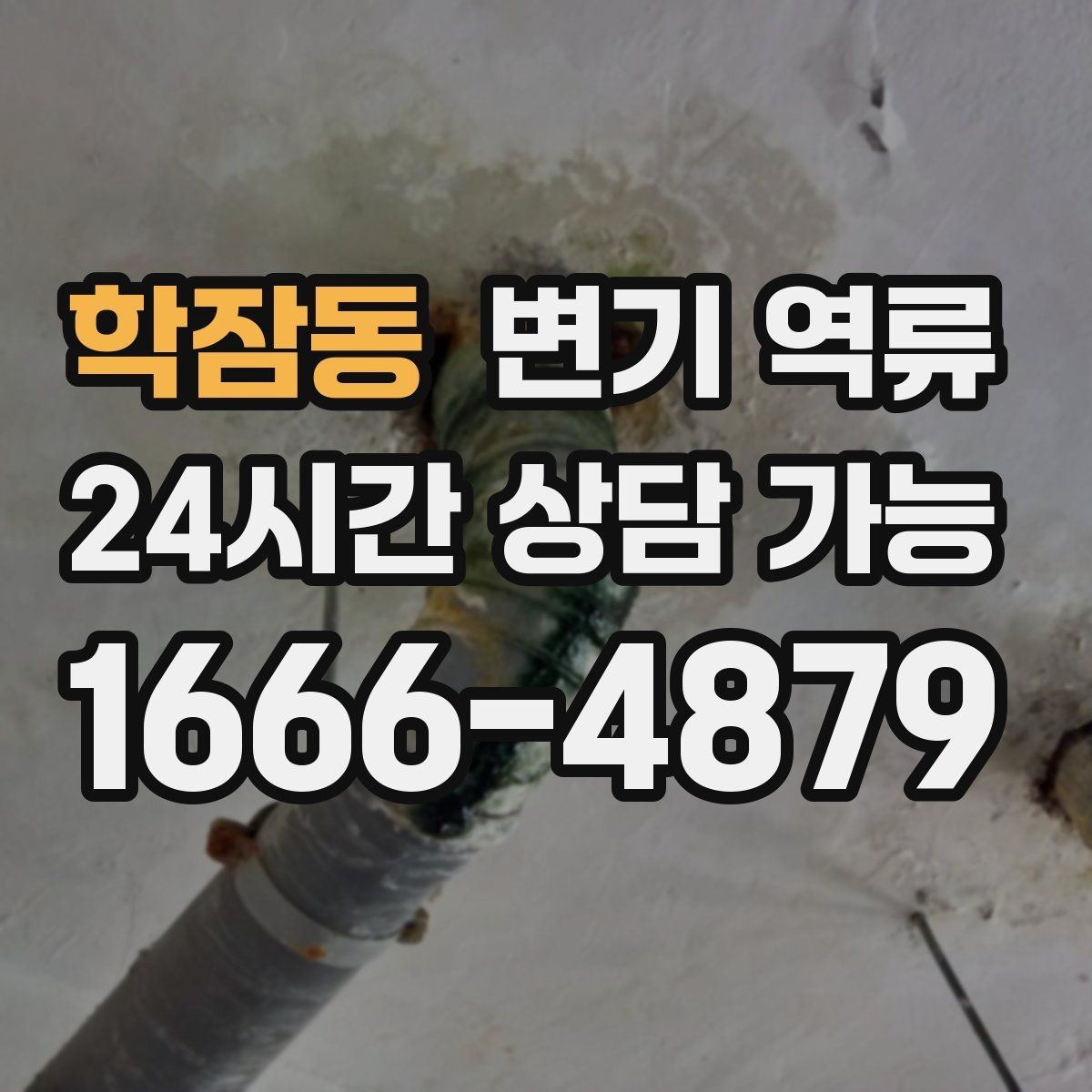 학잠동 변기 역류 원인별로 대응이 달라지는 이유를 정리