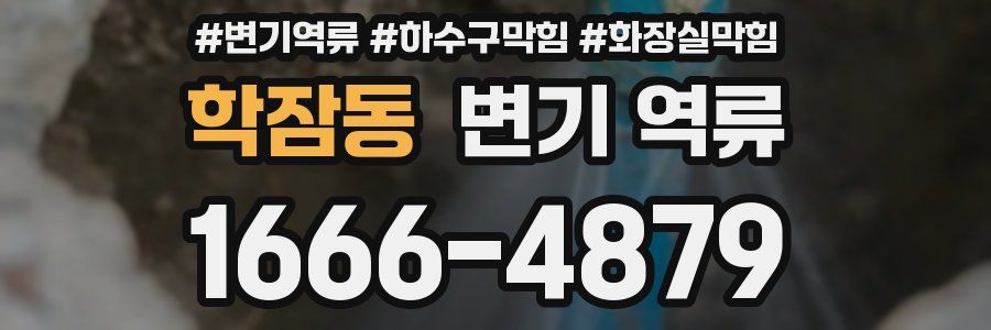 학잠동 변기 역류