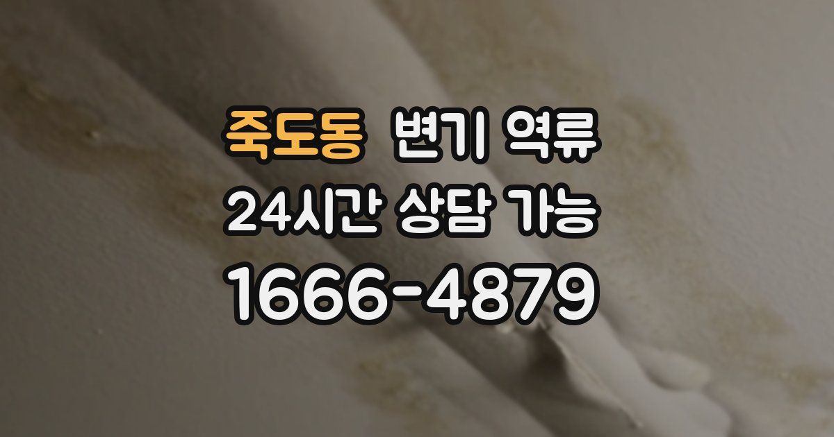 죽도동 변기 역류