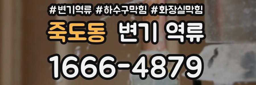 죽도동 변기 역류