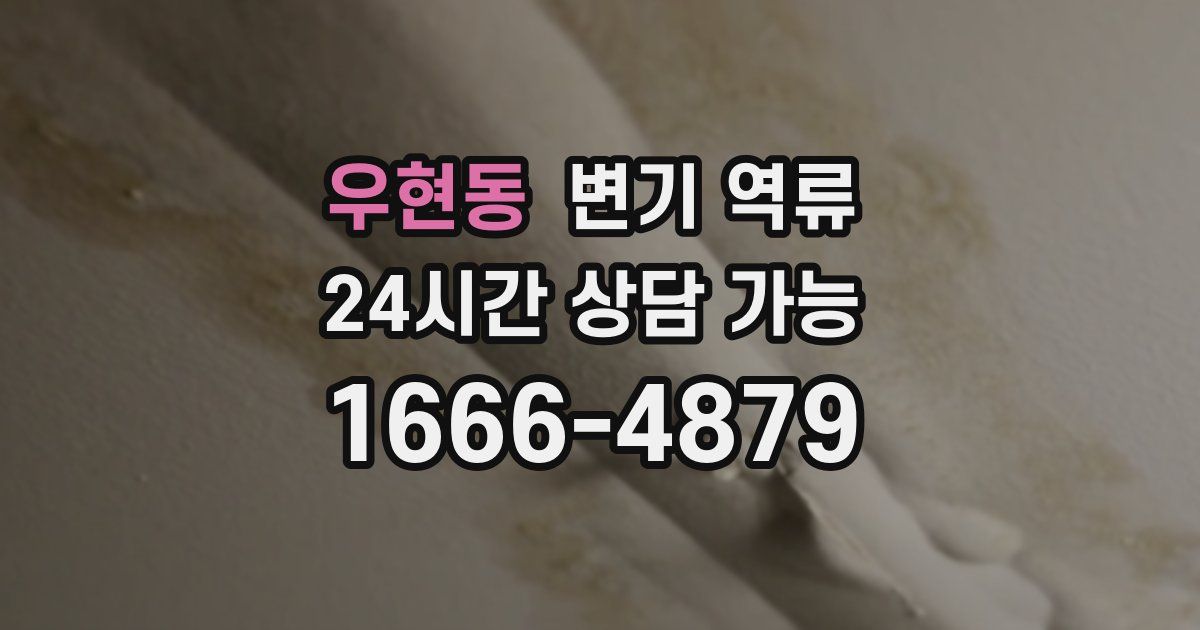 우현동 변기 역류