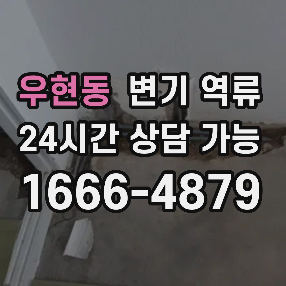 우현동 변기 역류