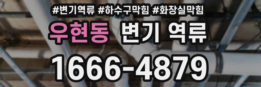 우현동 변기 역류