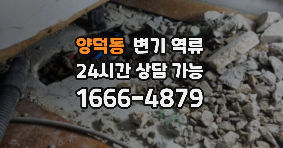 양덕동 변기 역류