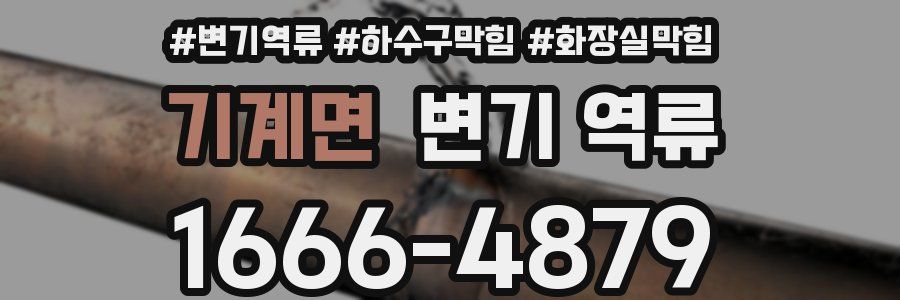 기계면 변기 역류