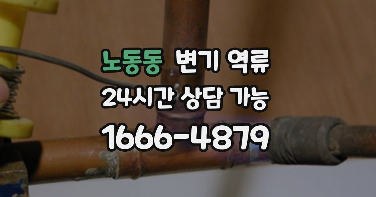 노동동 변기 역류