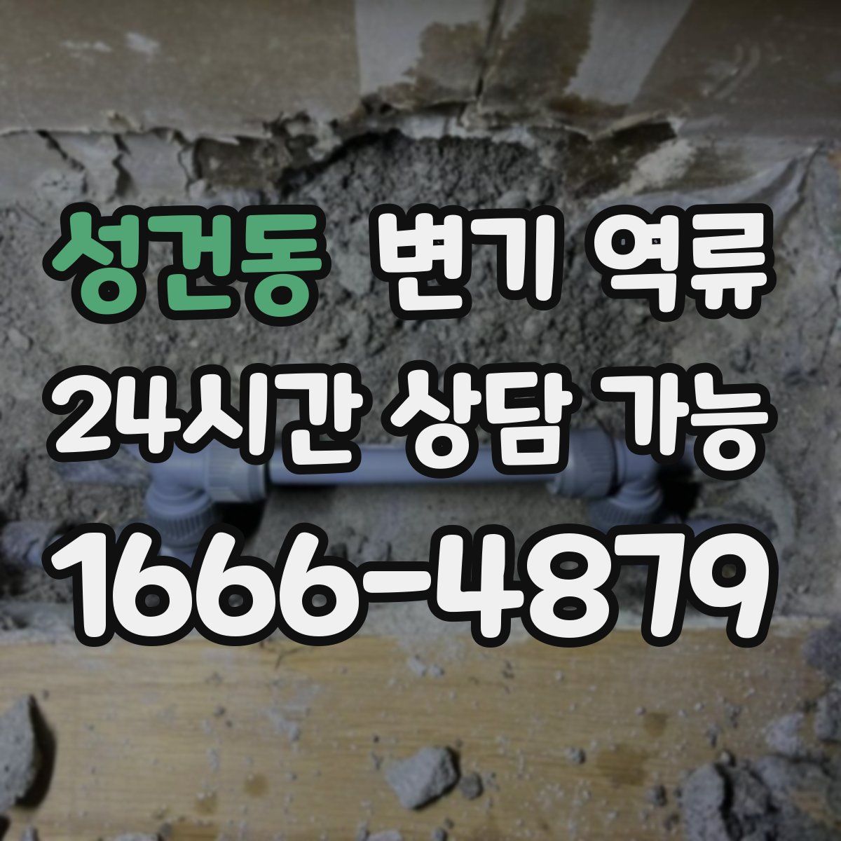 성건동 변기 역류