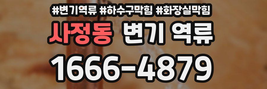 사정동 변기 역류