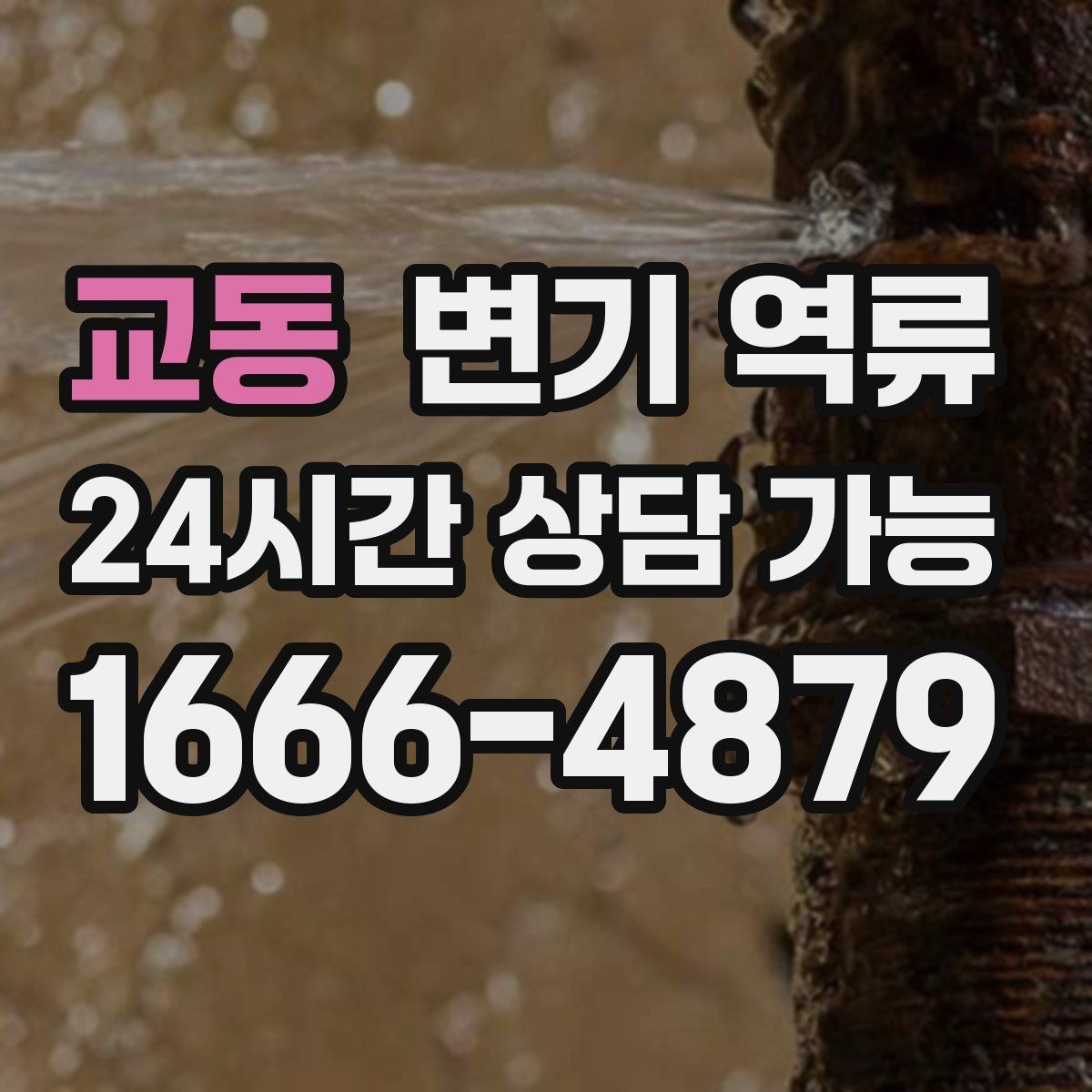 교동 변기 역류 겨울철에 더 잦아지는 집의 특징
