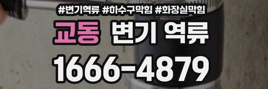 교동 변기 역류