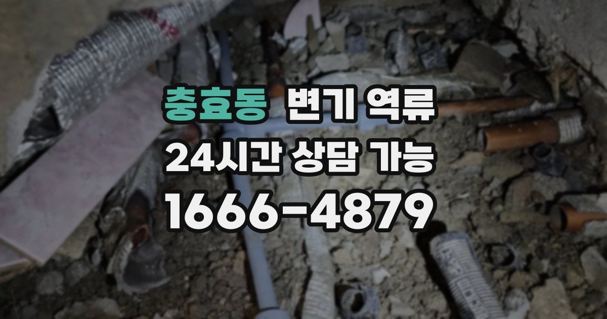 충효동 변기 역류