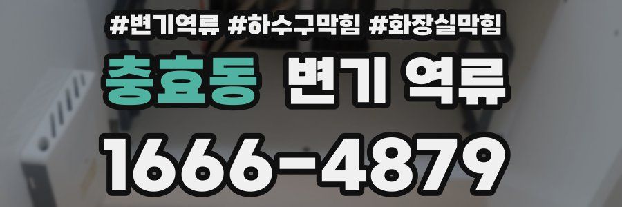 충효동 변기 역류