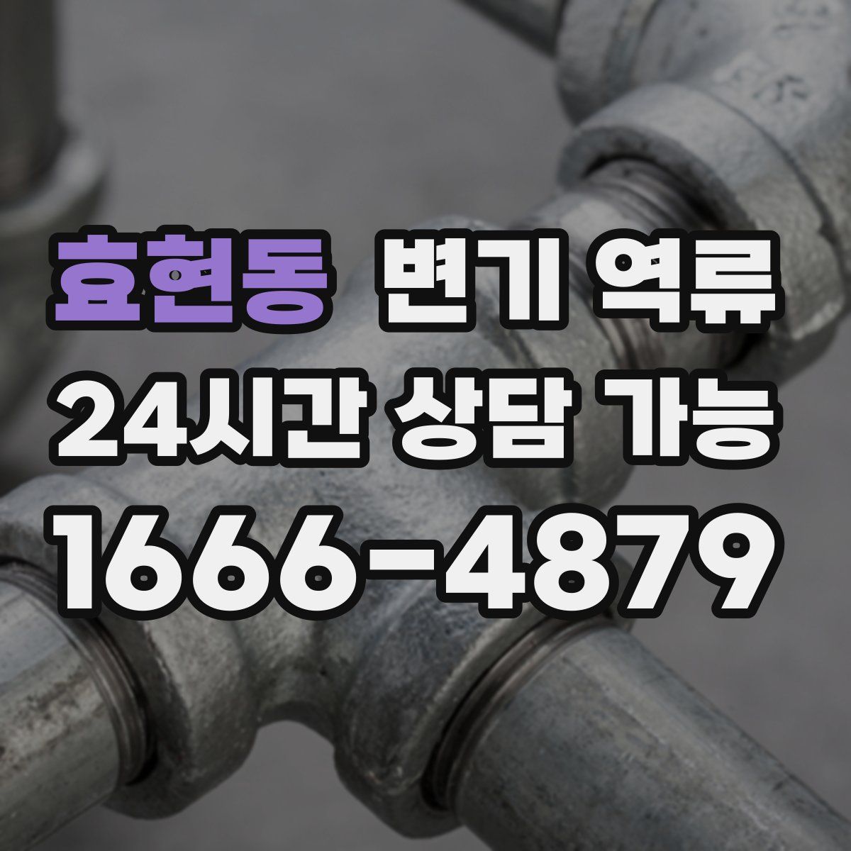 효현동 변기 역류