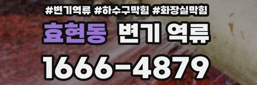 효현동 변기 역류