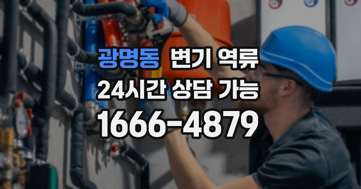 광명동 변기 역류