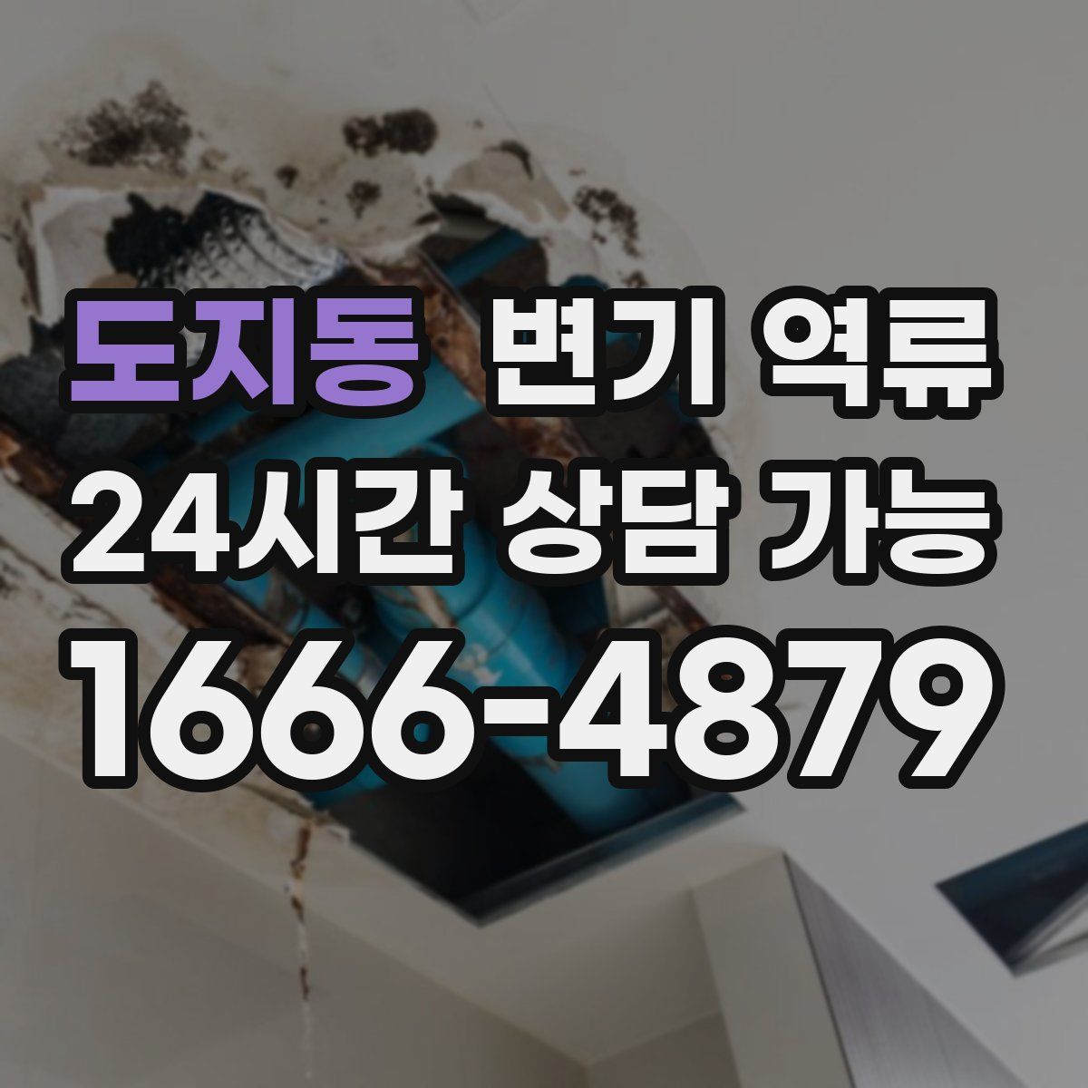 도지동 변기 역류