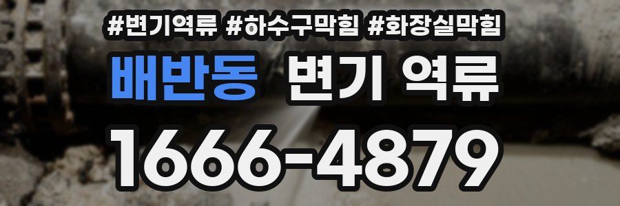 배반동 변기 역류