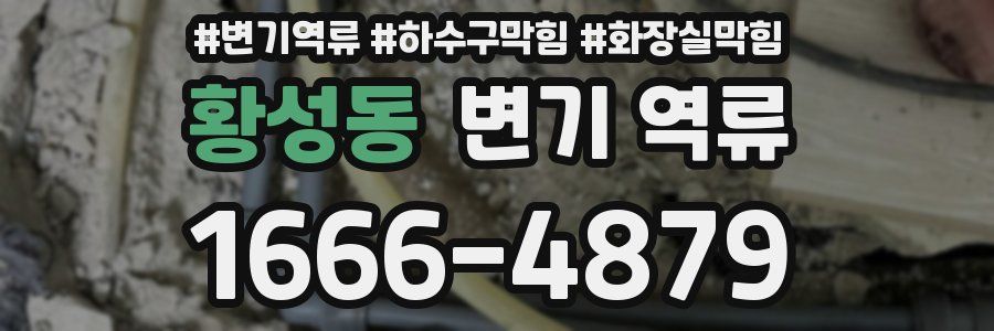 황성동 변기 역류